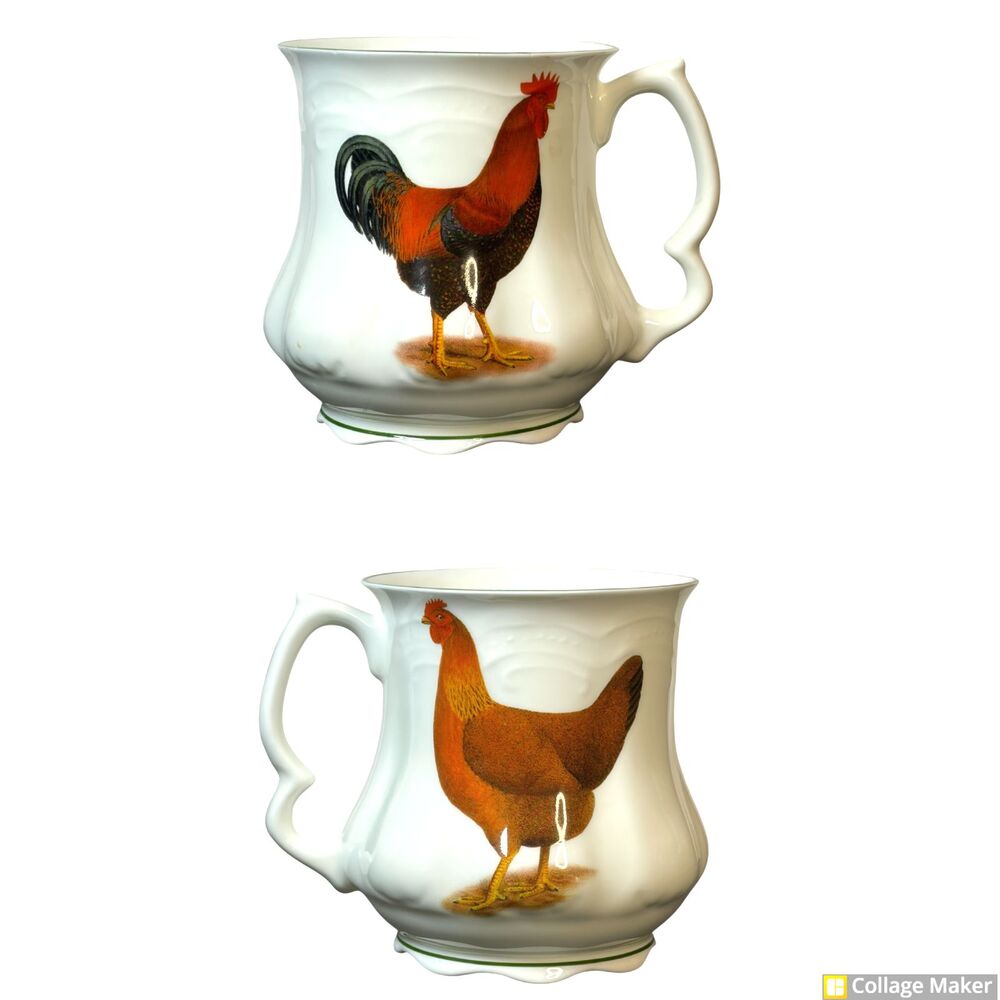 David Michael Rooster/Hen Coffee Mug Cup Staffordshire England Fine Bone China